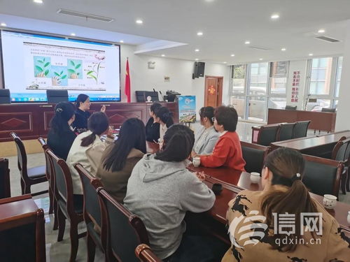 網(wǎng)絡(luò)技術(shù)服務(wù) 賦能未來生活的核心引擎